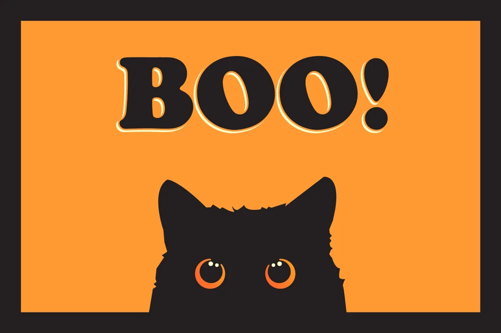 Black Cat